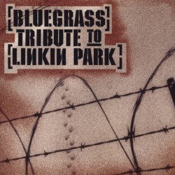 Bluegrass Tribute to Linkin Park