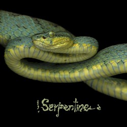 Serpentine