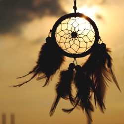 Dream Catcher