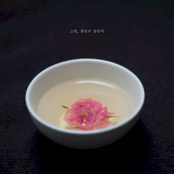 그대, 꽃인지 술인지