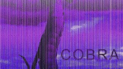 COBRA