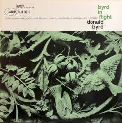 Byrd in Flight