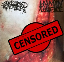 Sulfuric Cautery / Human Effluence