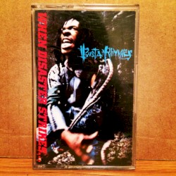 When Disaster Strikes…