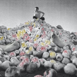 Яблонный сад