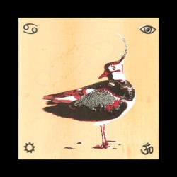 Earth, Spirit, and Sky