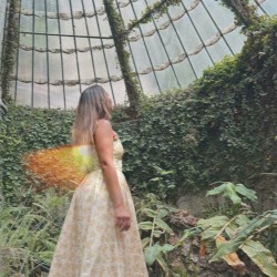 Birds of a Feather (Salsa Version)