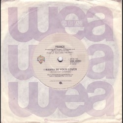 I Wanna Be Your Lover