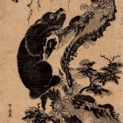 クロクマMIX