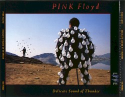 Delicate Sound of Thunder