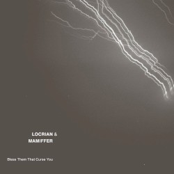 Bless Them That Curse You