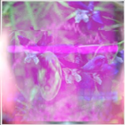 let me Shwo u something