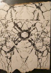 D.R.O.N.E.R.E.X.I.A.