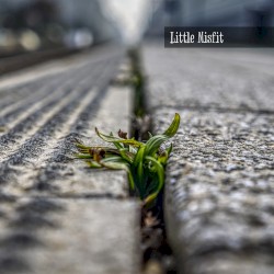 Little Misfit