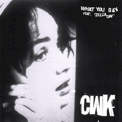 What You Say