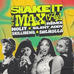 Shake It to the Max (FLY) (remix)