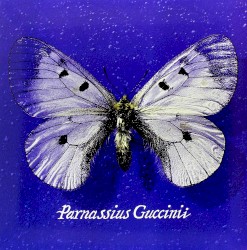 Parnassius Guccinii