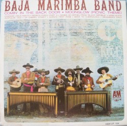 Baja Marimba Band