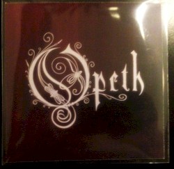 The Lines in My Hand