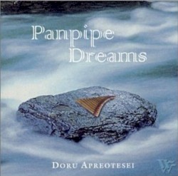 Panflöjtens Drömmande Toner