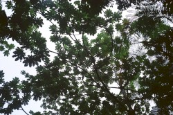 Livejazz: Florida Room EP