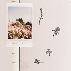 Speak From Your Heart