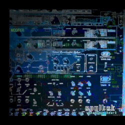 analogue heart [nsc remastered LP edition]