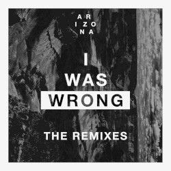 I Was Wrong: The Remixes