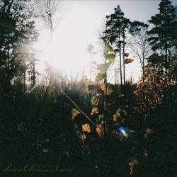 ✧˖° ༘ ɧöstkänslaɳ𓇢𓆸 ݁₊ ⊹ ˖°.