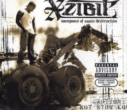 Weapons of Mass Destruction