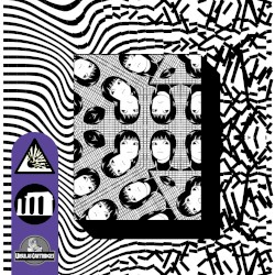 Nights at the Museum 29.05.2020 Set