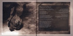 Lifestream Corrosion