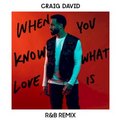 When You Know What Love Is (R&B remix)