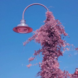 L'Espoir De Chaque Voyage