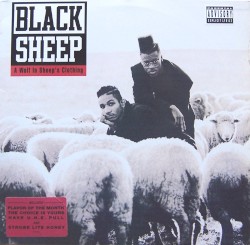 A Wolf in Sheep’s Clothing