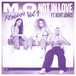 Not in Love (Remixes, Vol. 1)