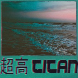 Prelude to Palm City 3