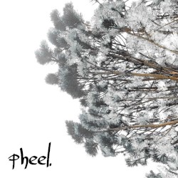 benefit of the doubt.