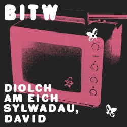 Diolch Am Eich Sylwadau, David