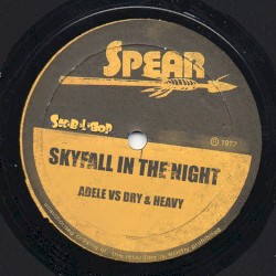 Skyfall in the Night (Adele vs. Dry & Heavy)