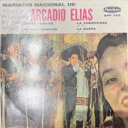 Jarabe tapatio / Las chiapanecas / La varsoviana / La raspa