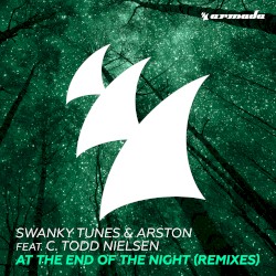 At the End of the Night (remixes)