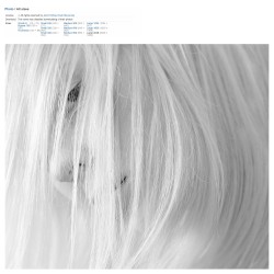 Silver Globe / American Idol