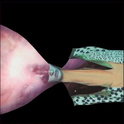 Til God Turns the Lights On