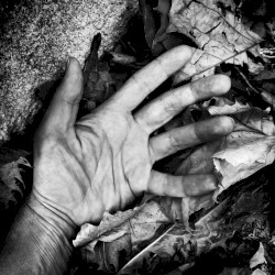 Disembody