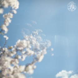 I Would Like to Know