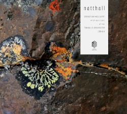 Natthall