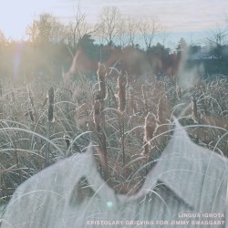 EPISTOLARY GRIEVING FOR JIMMY SWAGGART