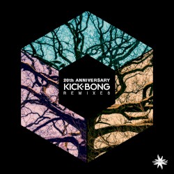 20th Anniversary Remixes