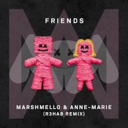 FRIENDS (R3hab remix)